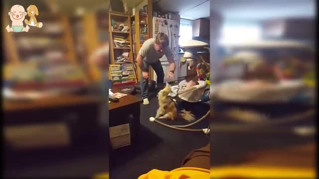 Protection Dog - Dogs Protecting Kids because they are best friend