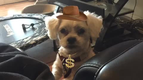 Loulou says the Criminal Democrat Leaders says their riots are peaceful 😳