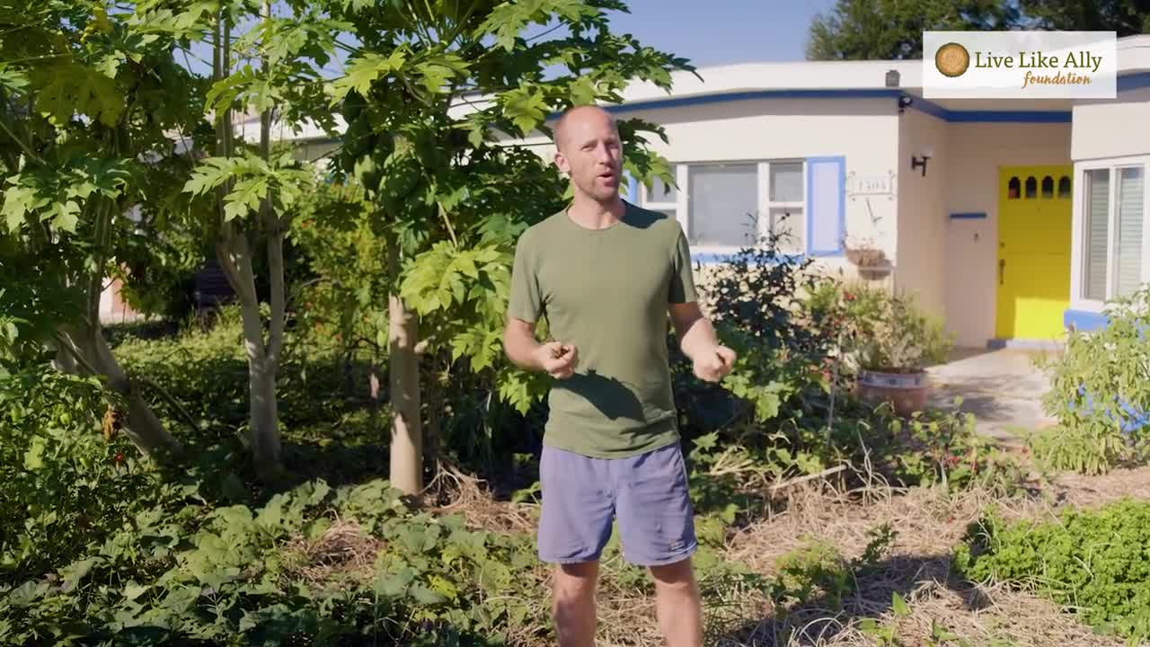 Grow Food, Not Lawns: How to Easily Transform Your Yard Into a Garden