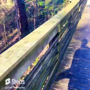 pisces be like 🤣🤣🤣🙈