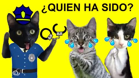 😹Gatos Luna y Estrella en ¿Quién tira la fuente un gato un perro o un hamster? / Videos de gatitos