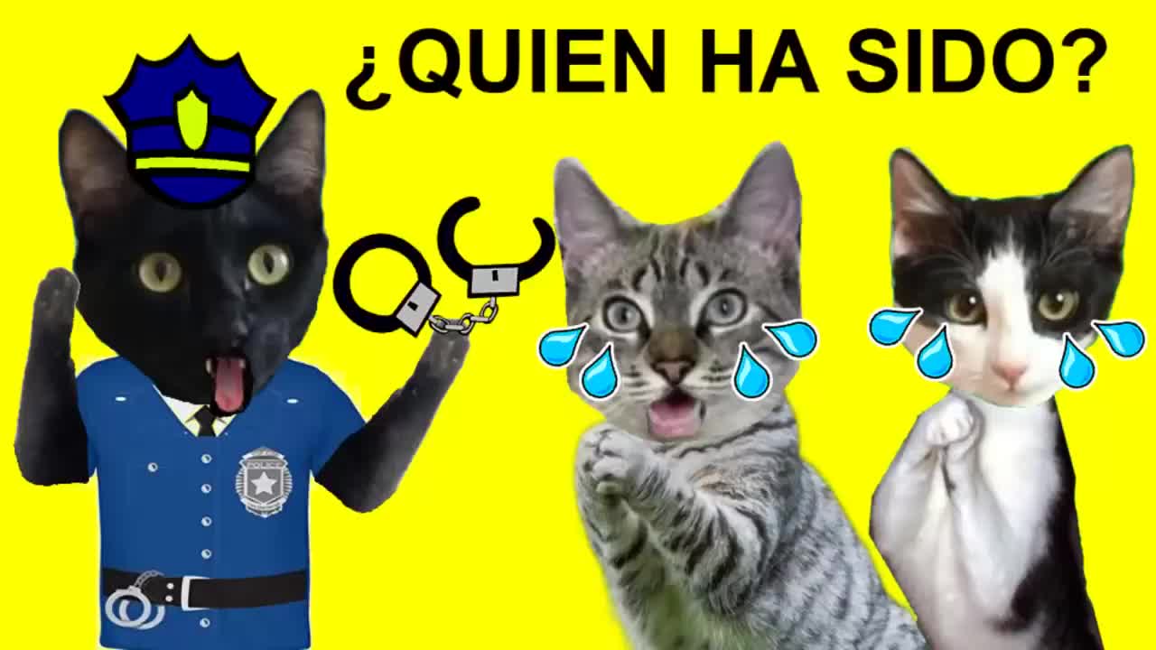 😹Gatos Luna y Estrella en ¿Quién tira la fuente un gato un perro o un hamster? / Videos de gatitos