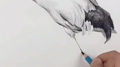 Amazing Pencil Drawing 3D Art Pelican Bird