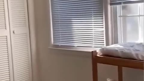 Funny video