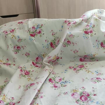 The cat is hiding 🙀😽😹