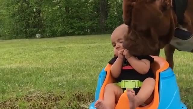 Baby and Big dog friend