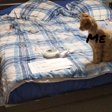 COVID Swab vs Kitty, #H3Bomb