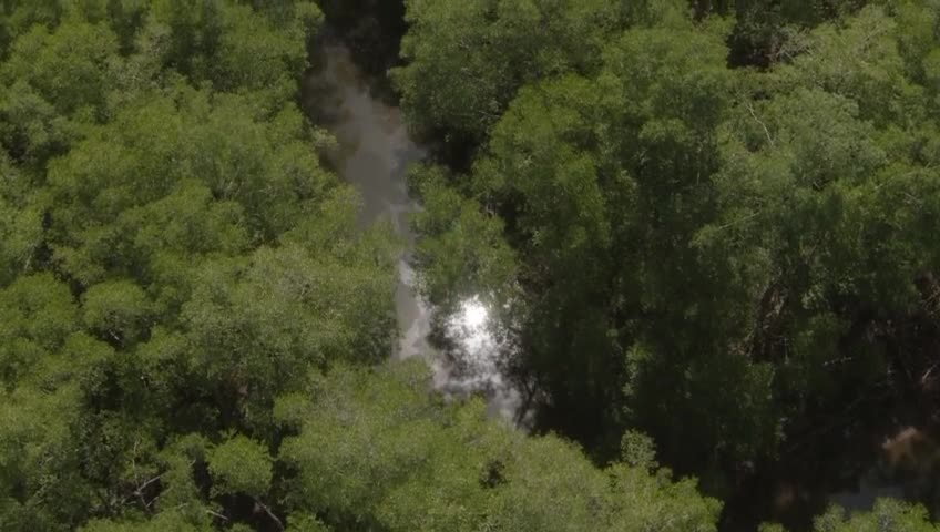 Planet pré-histórico episódio 03