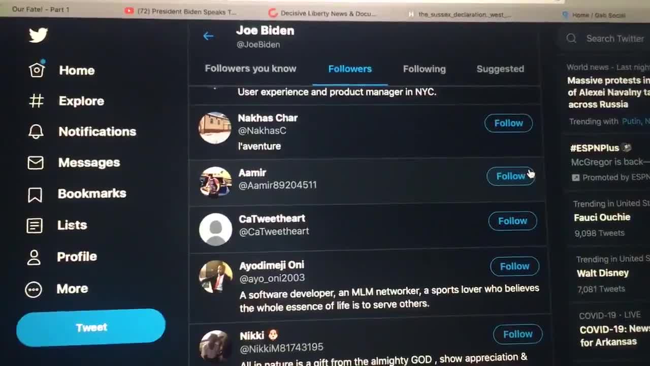 Beijing Biden's Daily Twatter 100K Bot Followers