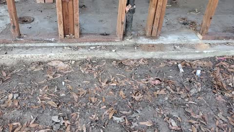 Working Another Wall