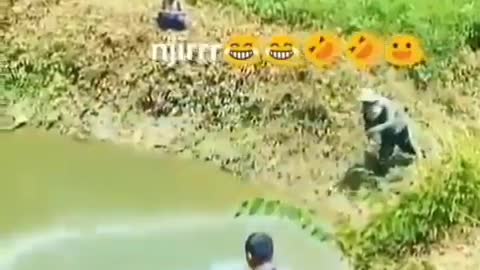 This is a beautiful and charming water-dwelling species