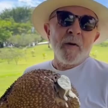 Lula und seine Jackfrucht