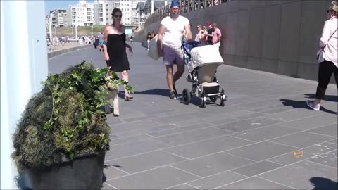 Funny Bushman Prank on Dogs!!!