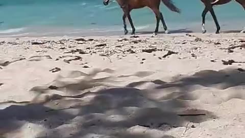 Mauritius