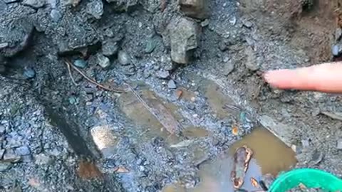 Finding MORE GOLD in the illegal ground sluice!_