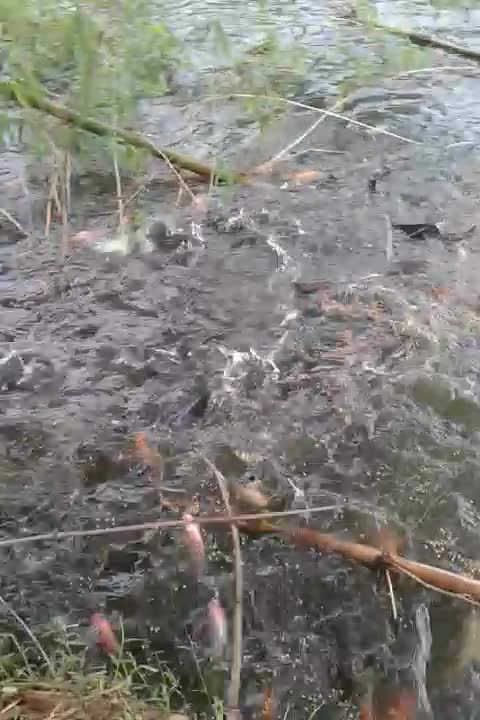 filtros en santander