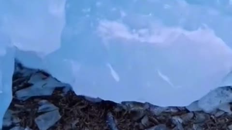 Ice refrigerator