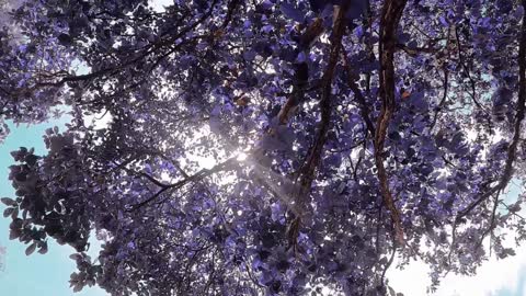 Endless Sky Meditation