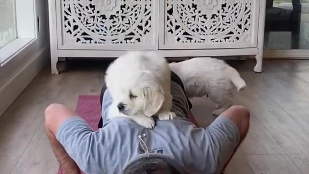 Work out with puppy