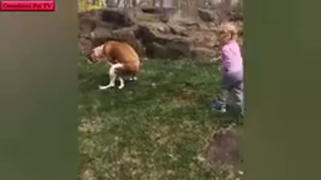 Funny moment animqls