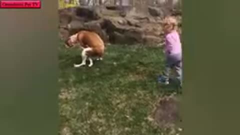 Funny moment animqls