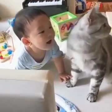 Criança brincando com seu lindo gatinho fofo!♾