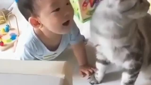 Criança brincando com seu lindo gatinho fofo!♾