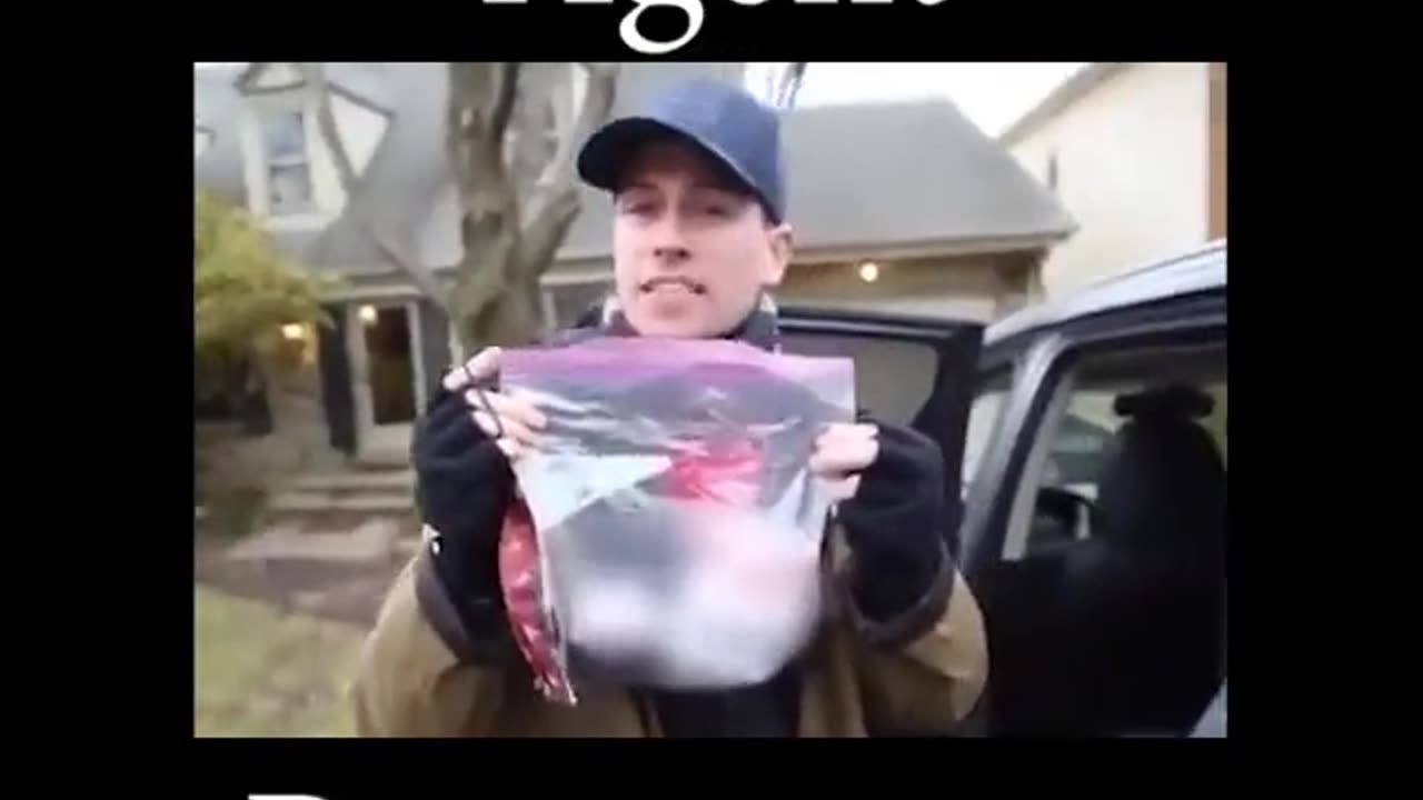 Antifa Pussy Busted