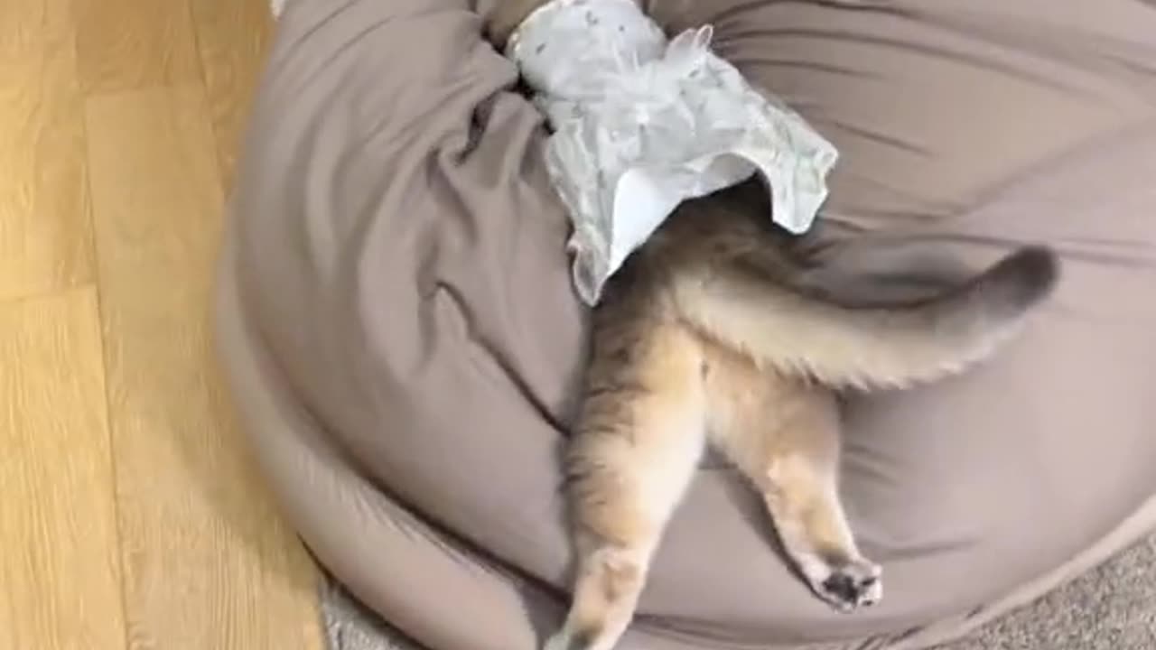 Watched for two hours and simply couldn't stop