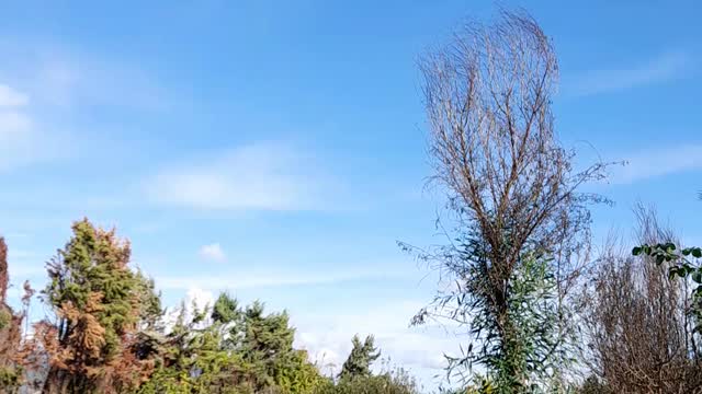 Giornata tranquilla 17/11/2021