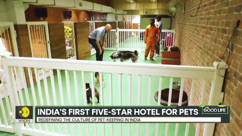 The Good Life: A new way to pamper your pets