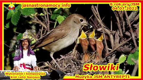 Słowiki - Wykonanie i kompozycja Władca Lehji Sanjaya – Muzyka JSM – ANTYREPTI