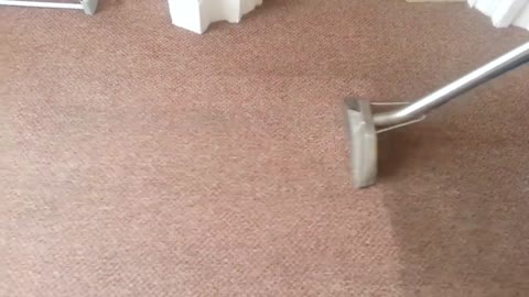 Carpet Cleaning Brisbane