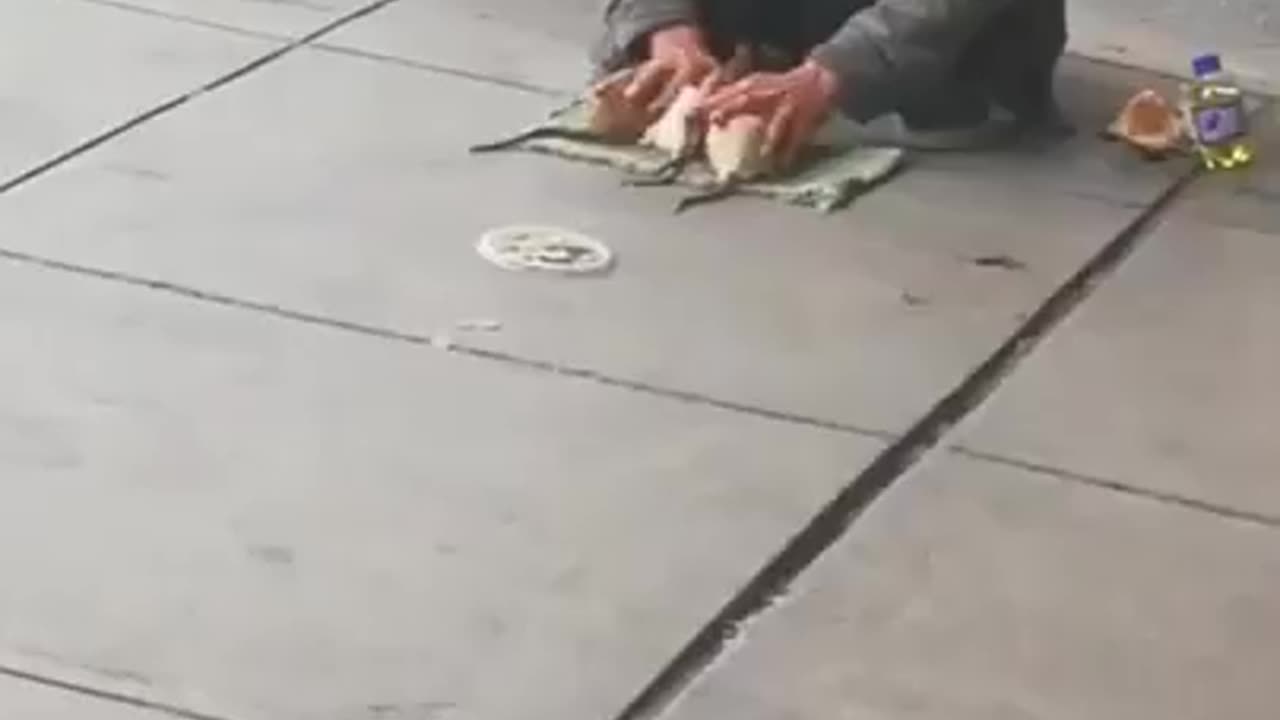 Homeless Man Trained Rats