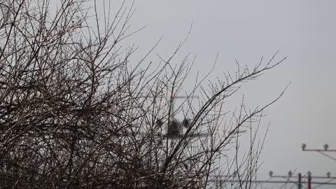 Awesome afternoon plane spotting at St Louis Lambert International Airport