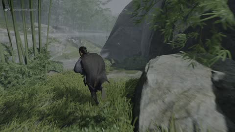 Ghost of Tsushima - 2