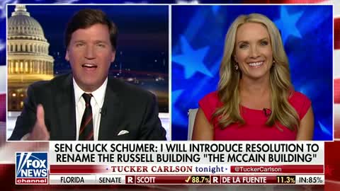 Dana Perino thinks Schumer has ulterior motive in McCain tribute