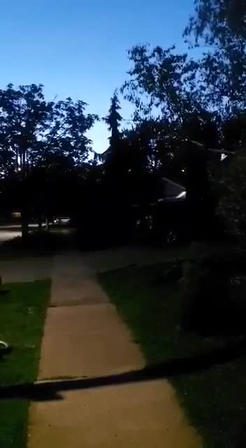 Pedo - Blowing Up Dumbs NY