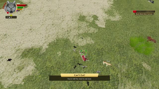 Wolfquest Let's Play special- Fan playthrough- Jalan 10