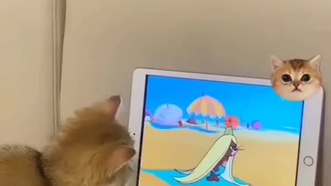 Tom's reaction....