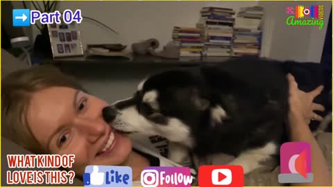 WoW Viral🤩Dog🐕‍🦺Lover🐕Part 04💋Kissing Dog🐶Video🦮Animal😍Dog Lover🐕Amazing🧐Shorts😳Reels📢Videos😁📸