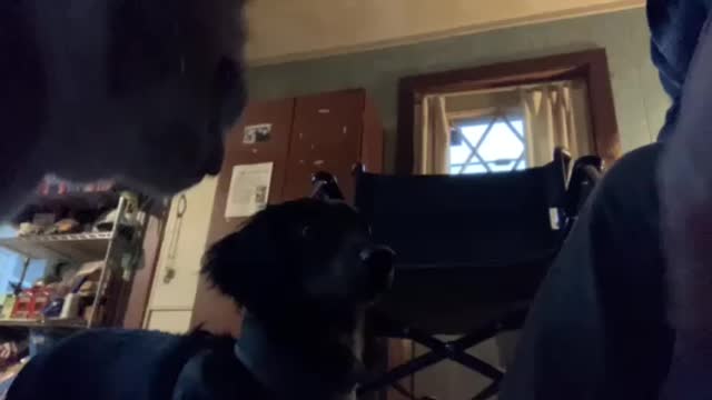 Peanut 🥜 Likes Popcorn 🍿