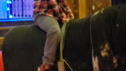 Mechanical bull