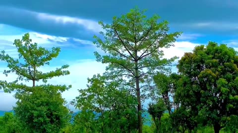 Nature #beauty#viral