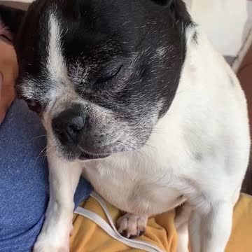 A match made in heaven