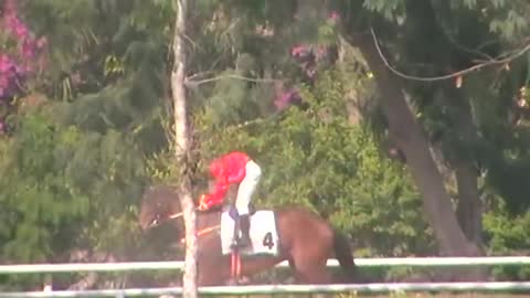 Horse Races in Chiang Mai Thailand.