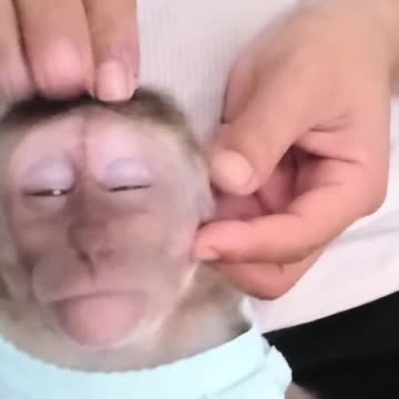 Feel an overwhelming pleasure