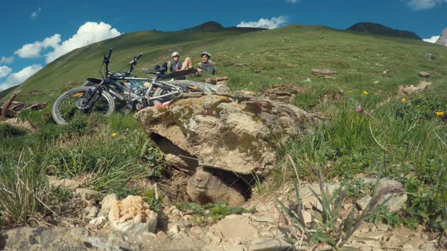 Funny marmot filming with a GoPro! 😂