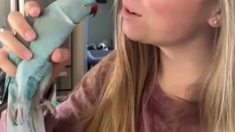 Bird Fun with Girl