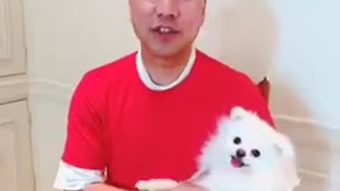 20181125 视频1